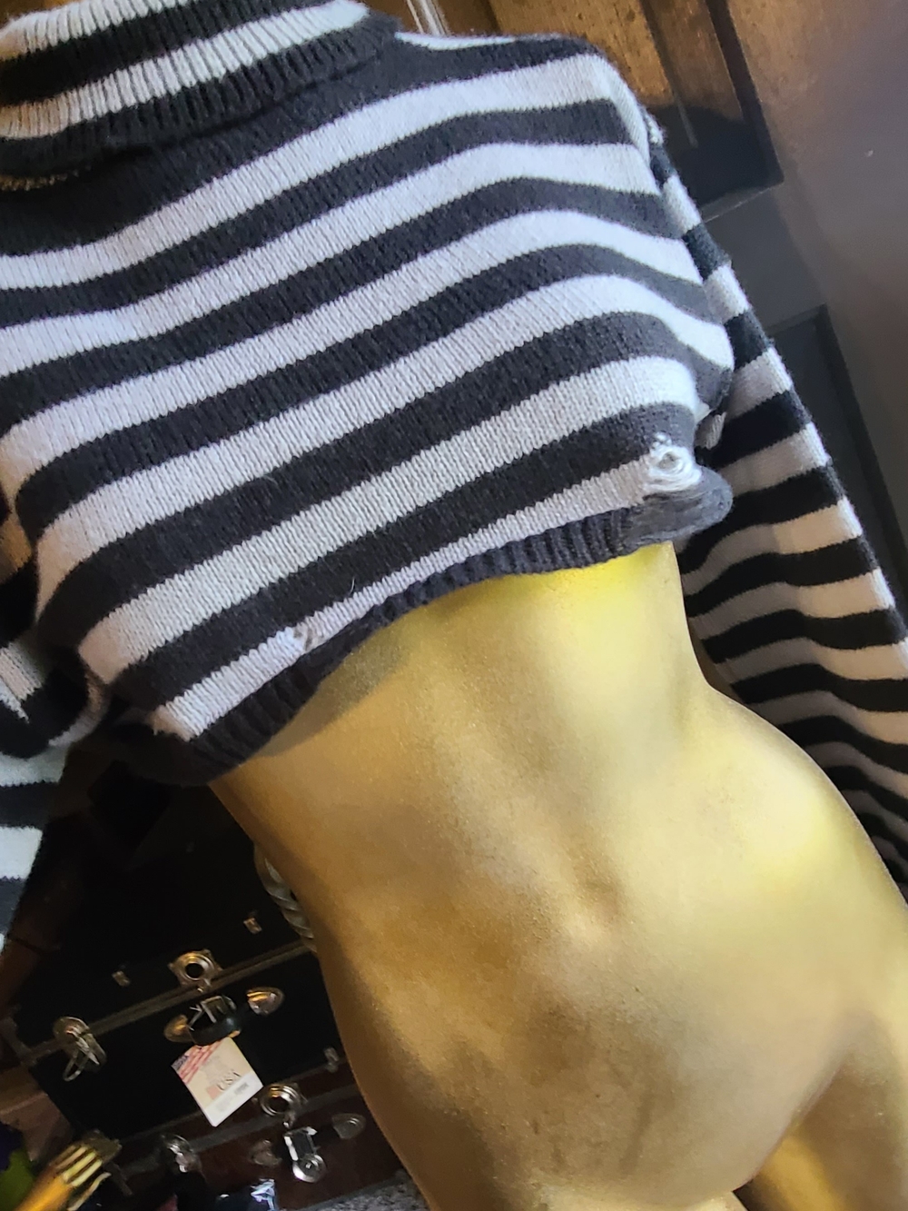 Striped Black and Gray Cropped Turtleneck Sweater